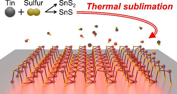 Single Atom Thick Tin Sulfide